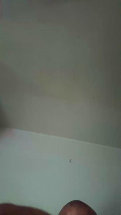 fukmew1's Profile