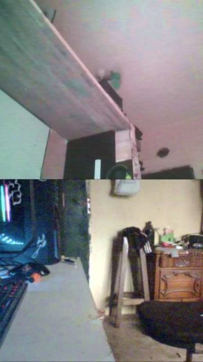 gecckorip_Po's Profile