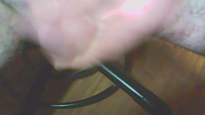hundefreund003's Profile