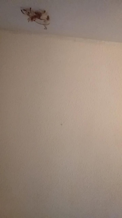 intuitivevirgo's Profile