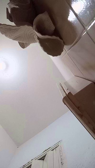 leonardobrasil3's Profile