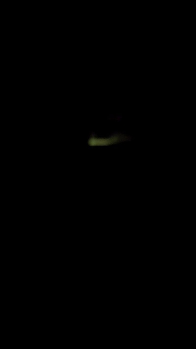 luis30181's Profile