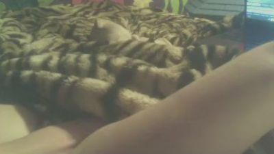 majikmajikninja's Profile