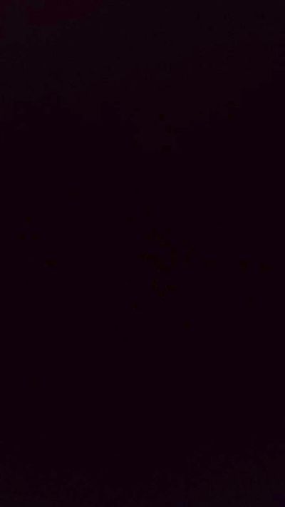 marquestorres's Profile