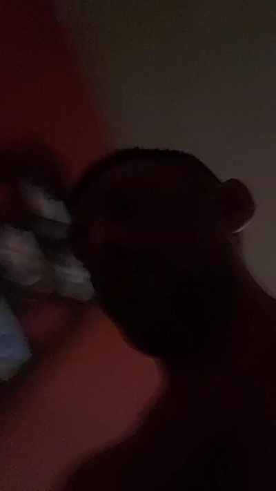 morocho255's Profile