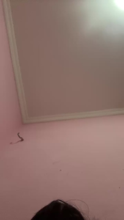 novinho1978's Profile