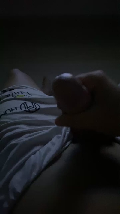 novinho8184's Profile