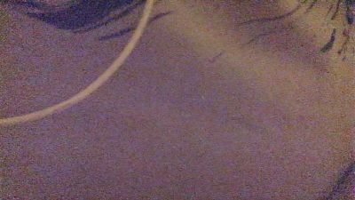 pars_'s Profile