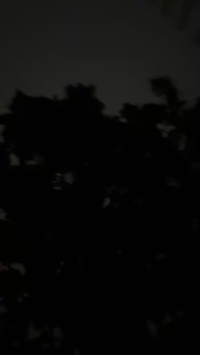 paulinababy's Profile