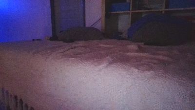 pilarcita33's Profile