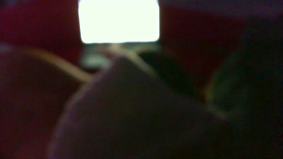 rady4play's Profile