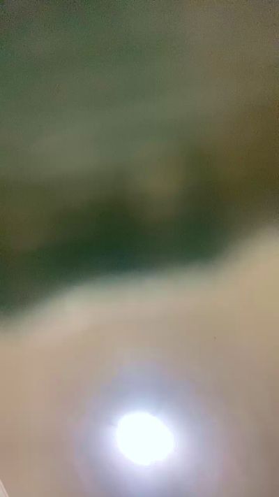 ryan2028's Profile