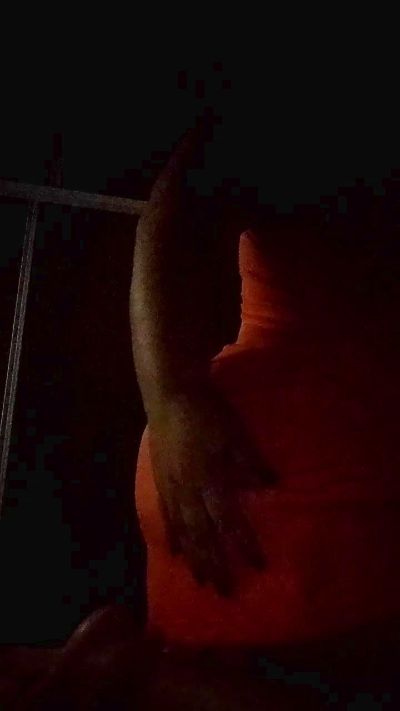 soy_sofie1's Profile