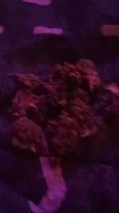 tiokush420's Profile