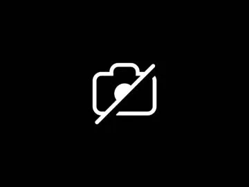 Photo of booshy
