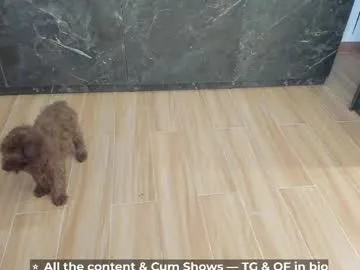 calvin_loves_you live stage