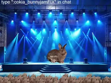 cokia_ live stage