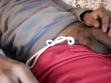 ed1383 live cam preview