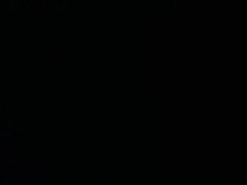 issazorro live stage