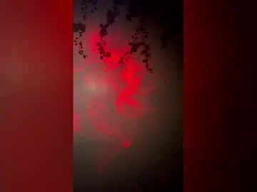 kingofthewood live stage