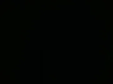 misternocturne live stage
