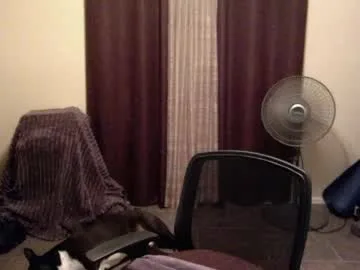 nicolescdfantasies live stage