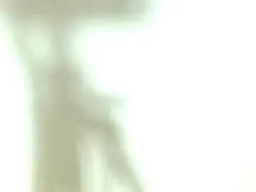 nixylux32 live stage