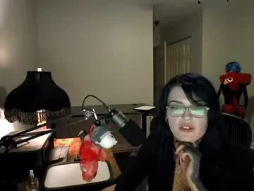 purrveetv live stage