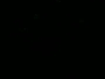 slutviki live stage