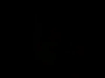 summergracexxx live stage
