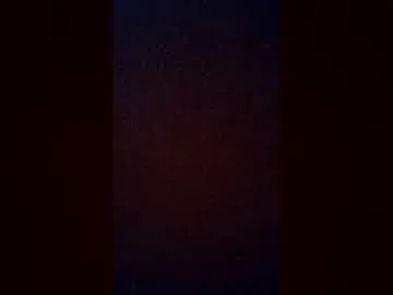 wildeglide live stage